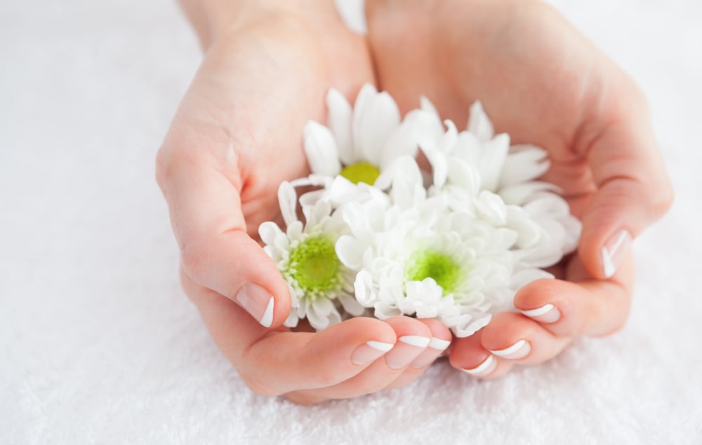 Close-up of french manicured hands holding flowers at spa center-1