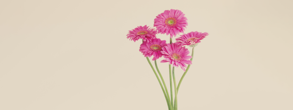 Funeral-services-Cremation-options-detail