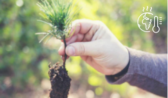 Improve Forest Resilience